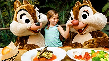 Garden Grill Chip and Dale