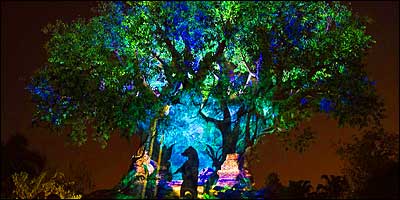 Tree of Life - Disney's Animal Kingdom